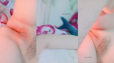 情色主播 粉粉兔